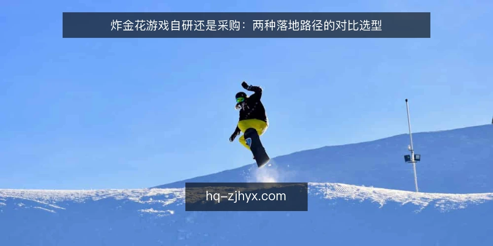 炸金花游戏自研还是采购：两种落地路径的对比选型 — 选型决策依据：先明确约束条件 配图