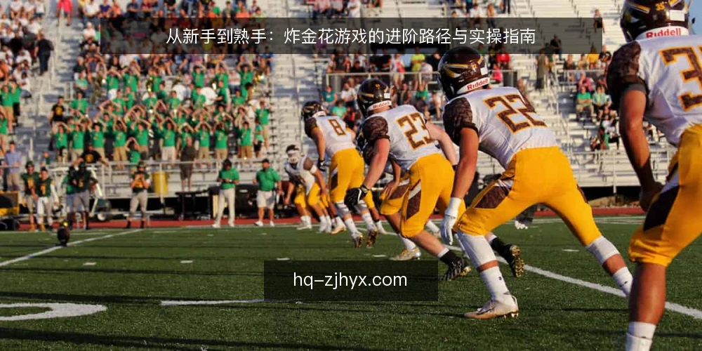 从新手到熟手：炸金花游戏的进阶路径与实操指南 — 新手常见的决策痛点 配图